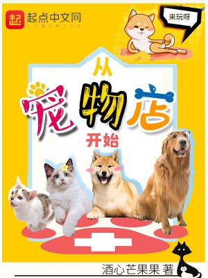 从宠物医院接回来的猫特别凶怎么办